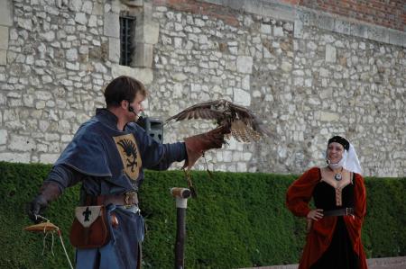 FALCONARIUS à Gien